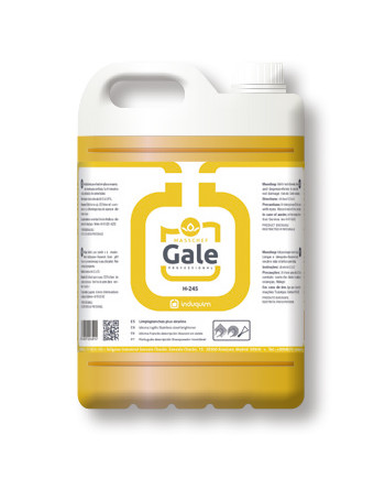 GALE LIMPIA PLANCHAS PLUS ALCALINO 5L H-245