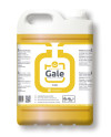 GALE LIMPIA PLANCHAS PLUS ALCALINO 5L H-245