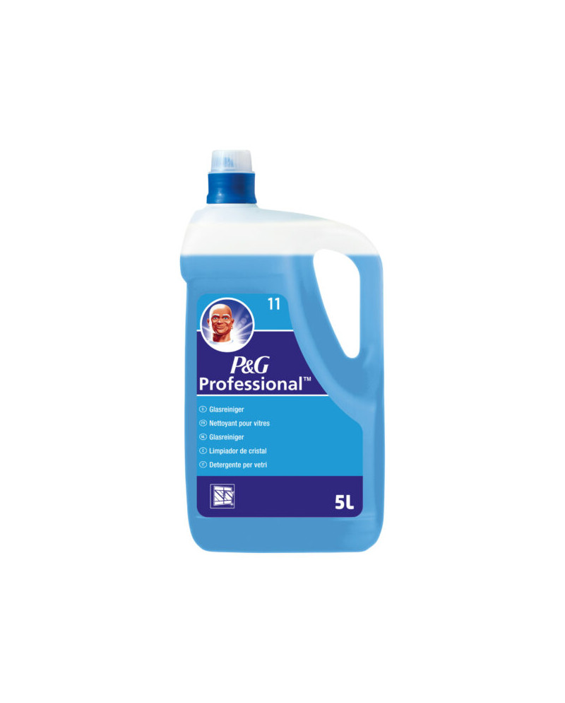 P&G LIMPIACRISTALES Nº14 5L UND.
