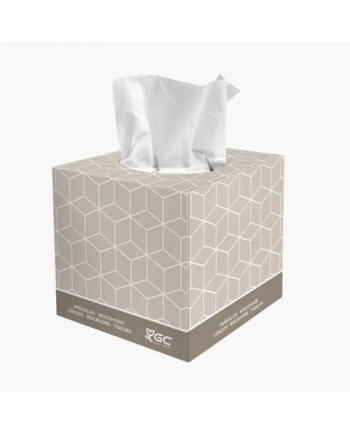 PAÑUELO FACIAL EN CUBO C/30X80UN
